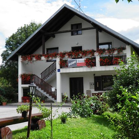 House Janja Plitvice Hotel Selište Drežničko Kültér fotó