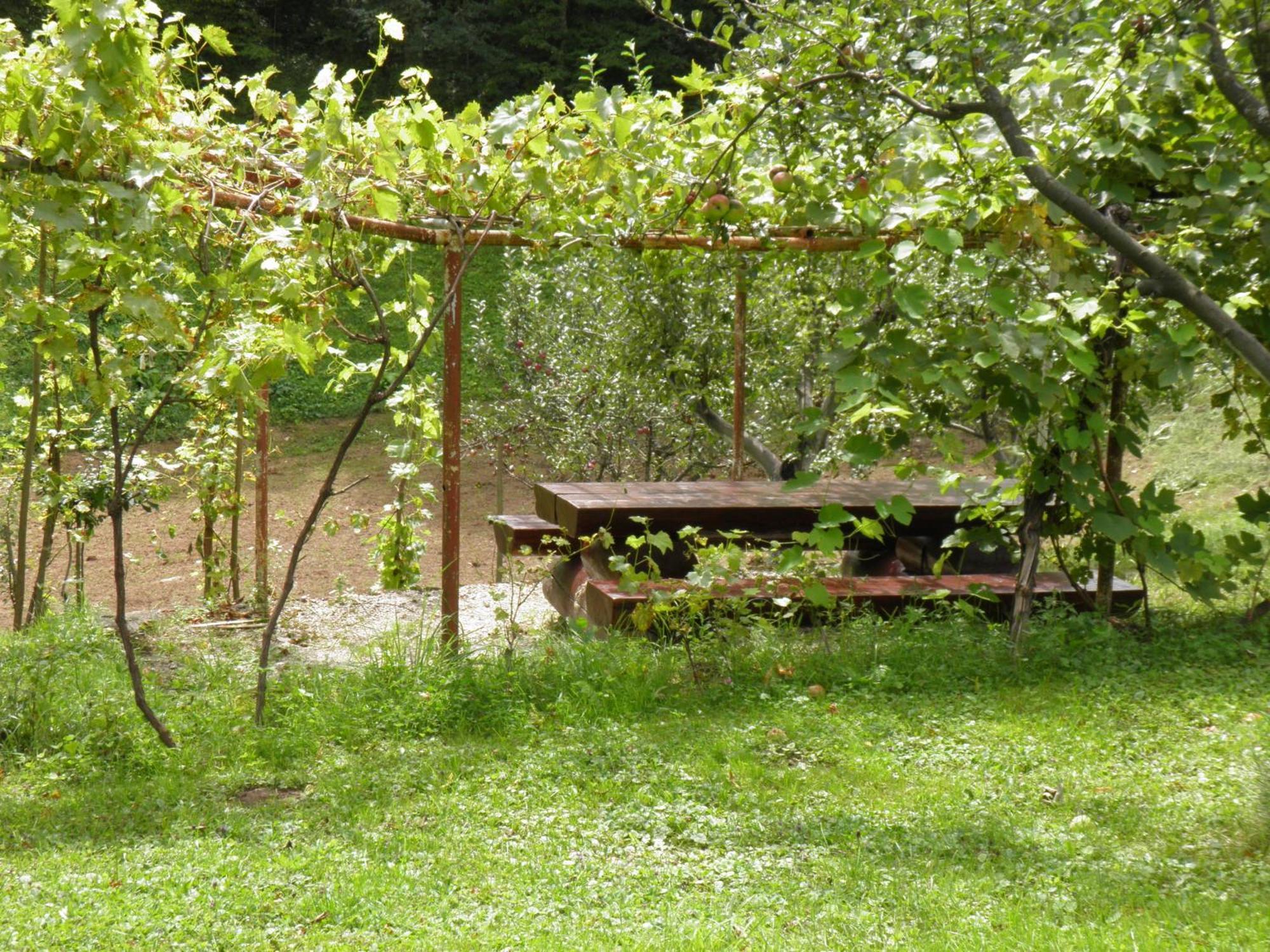 House Janja Plitvice Hotel Selište Drežničko Kültér fotó